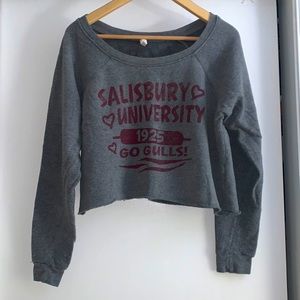 Salisbury university crop sweater